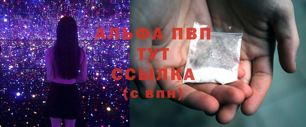 индика Абаза